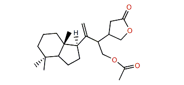 Cheloviolene C